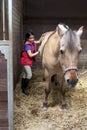 Little girl brushing her favorite horse