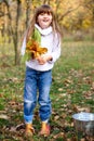 Little girl with a bucket and maple leaves