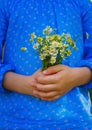 Little girl with camomile flowers Royalty Free Stock Photo