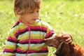 Little girl caress dachshund outdoor Royalty Free Stock Photo