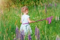 Little girl is catching butterfly by net at green meadow Royalty Free Stock Photo