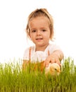 Little girl catching fluffy chicken in the grass - isolated Royalty Free Stock Photo