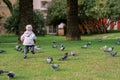 Little girl chasing pigeons on the green lawn in front of the house. Back view Royalty Free Stock Photo