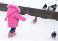 A little girl chasing pigeons in the winter Royalty Free Stock Photo