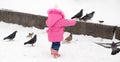 A little girl chasing pigeons in the winter Royalty Free Stock Photo