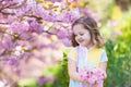 Little girl with cherry blossom Royalty Free Stock Photo