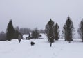 Little girl child in a beige coat running with small balck dog on snow covered field in the village Royalty Free Stock Photo