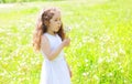 Little girl child blowing dandelions flowers in spring field Royalty Free Stock Photo