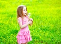 Little girl child blowing dandelions flowers in spring Royalty Free Stock Photo