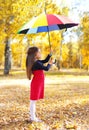 Little girl child with colorful umbrella walking in autumn Royalty Free Stock Photo