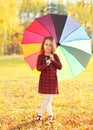 Little girl child with colorful umbrella walking in sunny autumn Royalty Free Stock Photo