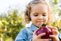 Little girl child eating an apple outdoors closeup portrait. Blonde caucasian child girl eating red apple in the park Royalty Free Stock Photo