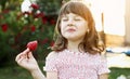 Little girl, child enjoying with close eyes eats red big strawberry at backyard home garden on summer holiday. The kid Royalty Free Stock Photo