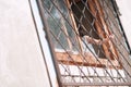 little girl, child, holding the bars on the window, Russia, Bashkortostan, Ufa