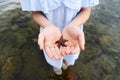 A little girl child holding a starfish in her hands on the seashore. Royalty Free Stock Photo