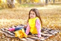 Little girl child on plaid with yellow maple leafs in autumn Royalty Free Stock Photo