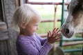 Little Girl Child Playing with New Born Horse Foal in Barn Royalty Free Stock Photo