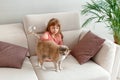 Little girl child stroking cat while sitting on couch at home. Love and relationship of pets and children. Kid girl Royalty Free Stock Photo