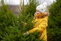 Little girl choosing christmas tree at market Royalty Free Stock Photo