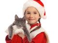 Little girl in Christmas hat with gray kitty Royalty Free Stock Photo