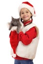 Little girl in Christmas hat with gray kitty Royalty Free Stock Photo