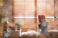 Little girl in Christmas hat near window at home, back view Royalty Free Stock Photo