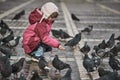 Little girl in a city square feeding pigeons Royalty Free Stock Photo