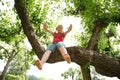 Little girl climbed on tree Royalty Free Stock Photo