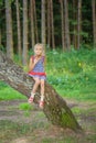 Little girl climbed on tree Royalty Free Stock Photo