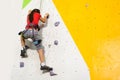 Little Girl Climbing Rock Wall practical wall in gym Royalty Free Stock Photo