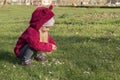 Little girl collecting flowers on first spring day Royalty Free Stock Photo