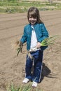 Little girl collecting onions