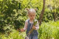 A little girl collects dandelions Royalty Free Stock Photo