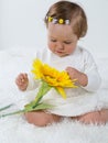 Little girl is considering a flower sunflower