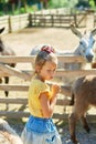 Little girl in contact farm zoo with donkeys in the countryside, a farm
