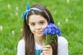 Little girl cornflowers bouquet holiday greetings, summer vacation concept