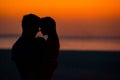 Little girl and dad silhouette in the sunset at the beach Royalty Free Stock Photo