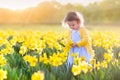 Little girl in daffodil field Royalty Free Stock Photo