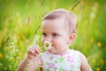 Little girl with the daisy Royalty Free Stock Photo