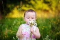 Little girl with the daisy Royalty Free Stock Photo