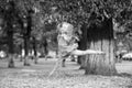 Little girl dancer jump in summer park Royalty Free Stock Photo