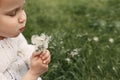 The child blows out dandelion seeds Royalty Free Stock Photo