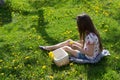 Little girl on dandelion lawn gathering dandelion Royalty Free Stock Photo