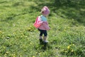 Little girl on dandelion lawn Royalty Free Stock Photo