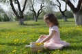 Little girl on dandelion lawn pick up dandelions in a basket Royalty Free Stock Photo