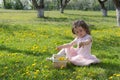 Little girl on dandelion lawn pick up dandelions in a basket Royalty Free Stock Photo