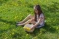 Little girl on dandelion lawn pick up dandelions in a basket Royalty Free Stock Photo