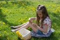 Little girl on dandelion lawn pick up dandelions in a basket Royalty Free Stock Photo