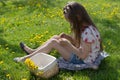 Little girl on dandelion lawn pick up dandelions in a basket Royalty Free Stock Photo