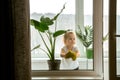 A little girl diligently washing a window. Royalty Free Stock Photo